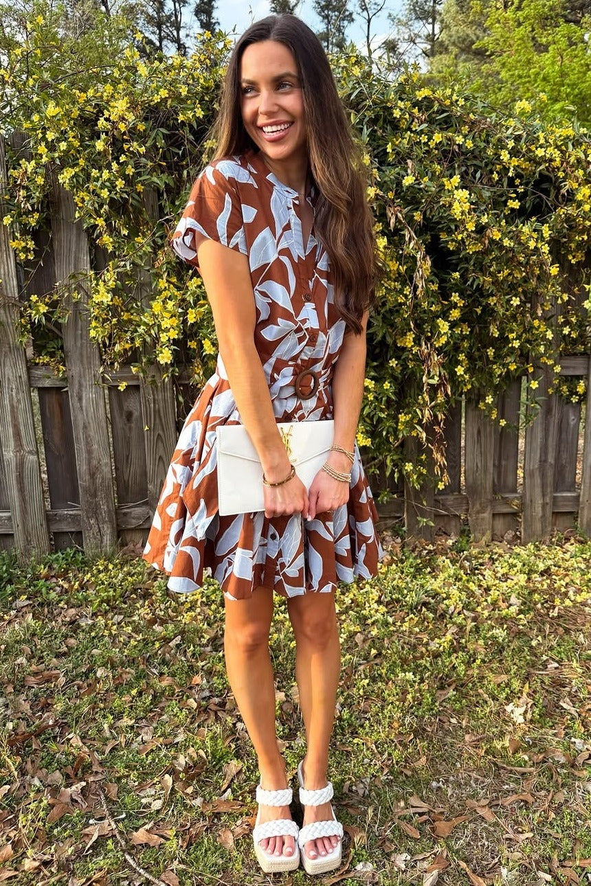 Brown Light Blue Cap Sleeve Button Down Belted Mini Dress