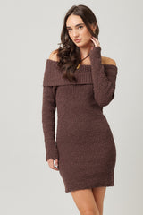 Brown Off The Shoulder Knit Sweater Mini Dress