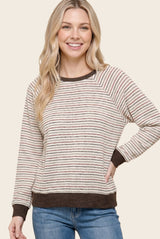 Brown Muticolor Striped Long Sleeve Top